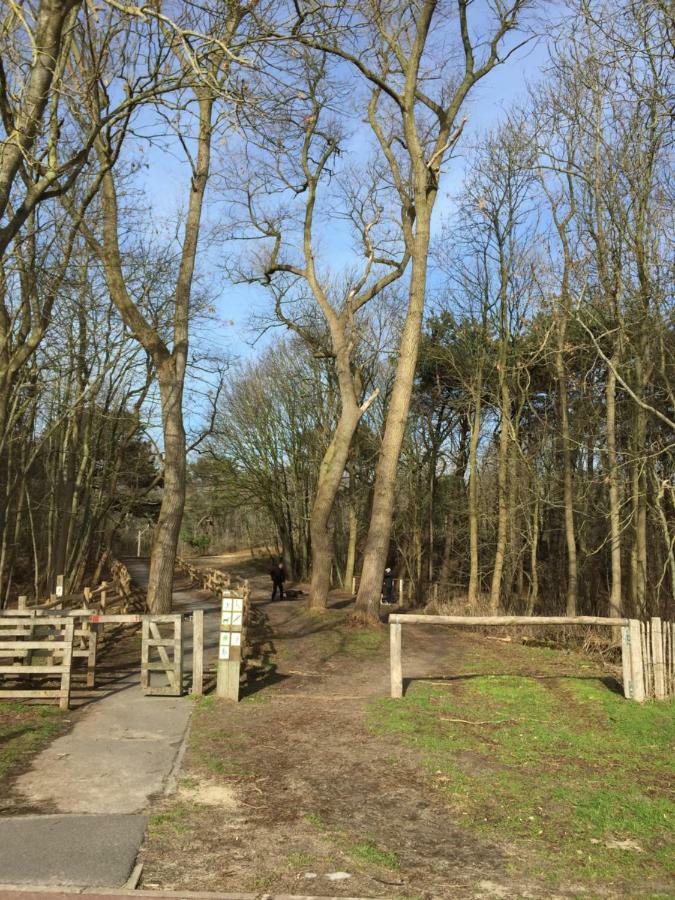 Zee Vakantievilla Begijnhof 5 De Haan Nieuwmunster Exteriör bild